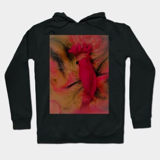 BRIGHT PINK FLORAL TROPICAL PARROT COCKATOO PALM JUNGLE POSTER PRINT Hoodie